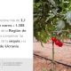 El Gobierno destina más de 2,1 millones de euros a 1.308 agricultores de la Región de Murcia para compensar las consecuencias de la sequía y la guerra en Ucrania