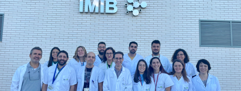 El estudio de dos investigadores vinculados al IMIB favoreció el trasplante de médula de un paciente.