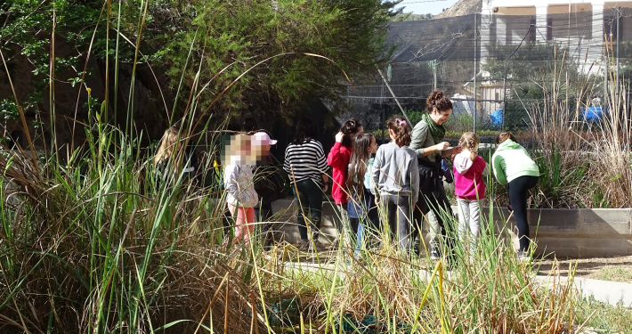Semana de actividades de educación ambiental en la Selva Romana