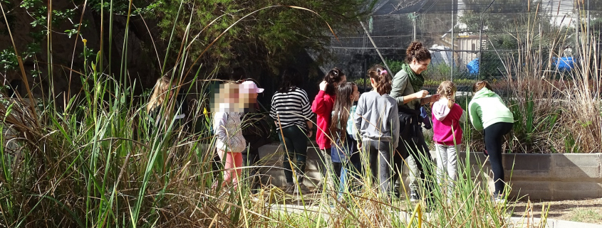 Semana de actividades de educación ambiental en la Selva Romana