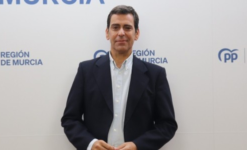 financiación, senado, reforma,