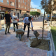 Vía Pública Mejora seguridad via y plantación arbolado en Avda. Granada Foto1