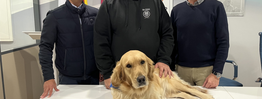 Comienza la terapia con perros en las clases abiertas de 4 centros educativos de Aquila