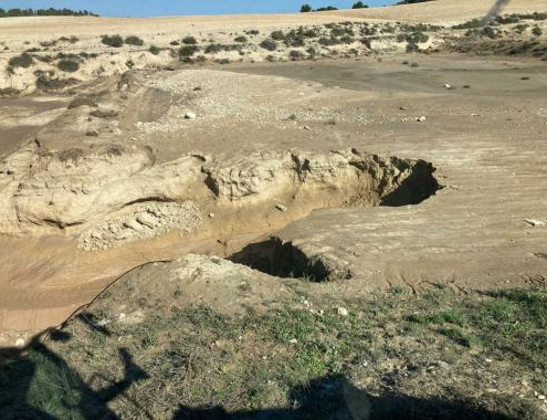 ASAJA MURCIA EXIGE AL GOBIERNO LA PUBLICACIÓN URGENTE DE LAS AYUDAS PROMETIDAS TRAS LA LLUVIA DEL 24 DE JULIO.