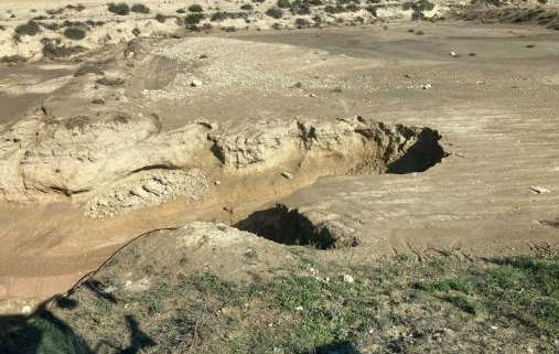 ASAJA MURCIA EXIGE AL GOBIERNO LA PUBLICACIÓN URGENTE DE LAS AYUDAS PROMETIDAS TRAS LA LLUVIA DEL 24 DE JULIO.