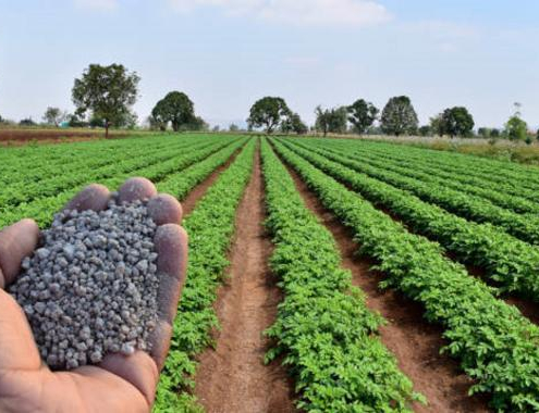 Información pública sobre el programa de actuación para las zonas vulnerables de la Región de Murcia y para la zona vulnerable a la contaminación por nitratos del Campo de Cartagena