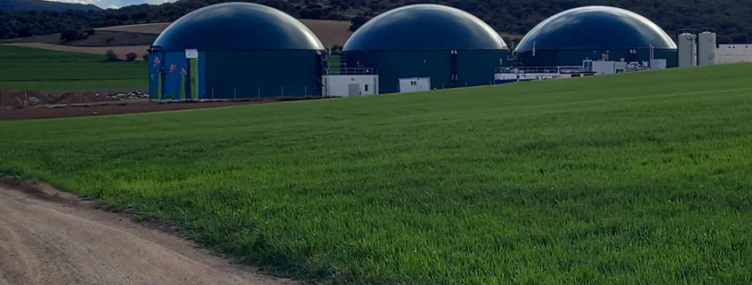 Denuncian una nueva planta de biogás en El Niño de Mula