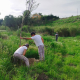Medio Ambiente Molina Proyecto 'ANILLO VERDE' Fase final trabajos plantación Foto3