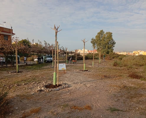 Continúan los trabajos de reforestación a través del programa vivencial “Nueva vida para los primeros...