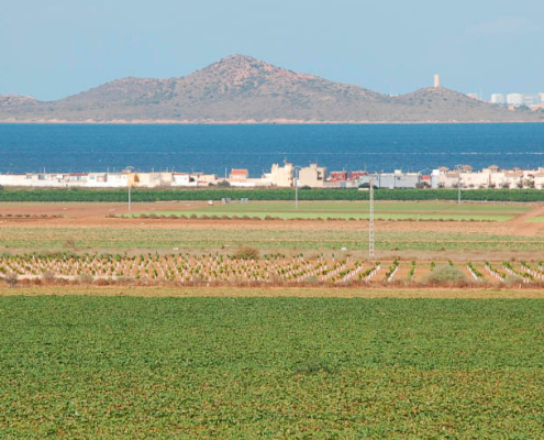 Lamentan que el PP use la Ley del Mar Menor como moneda de cambio electoral