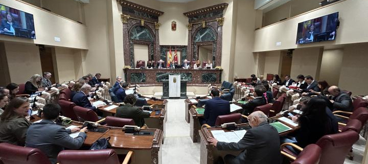 El pleno de la Asamblea Regional aprueba una declaración institucional a favor del corredor ferroviario Cartagena-Albacete