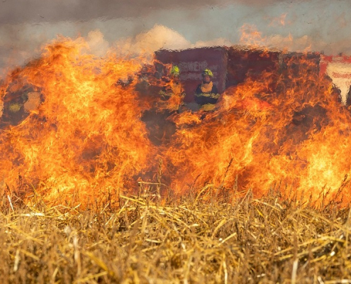 La combinación de clima extremo y vegetación a punto de arder ha intensificado los incendios récord de España en 2025