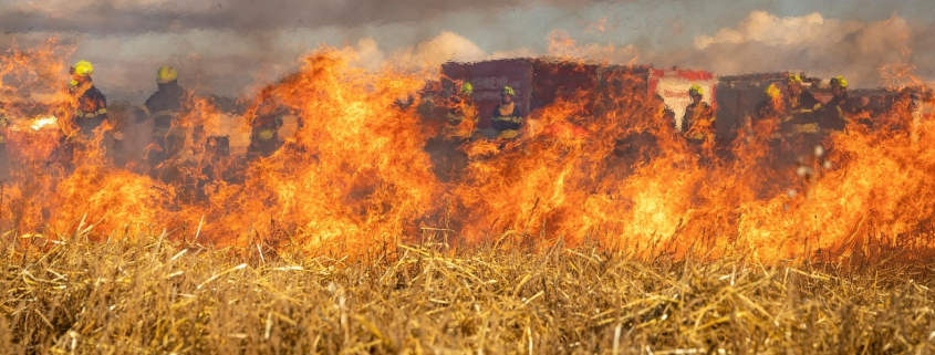 La combinación de clima extremo y vegetación a punto de arder ha intensificado los incendios récord de España en 2025
