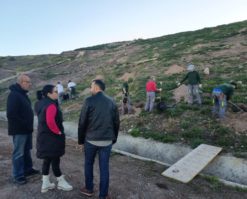 Continúan los trabajos de reforestación en el antiguo vertedero municipal