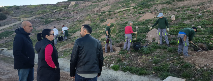 Continúan los trabajos de reforestación en el antiguo vertedero municipal