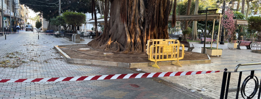 La localidad permanece en alerta amarilla por el viento