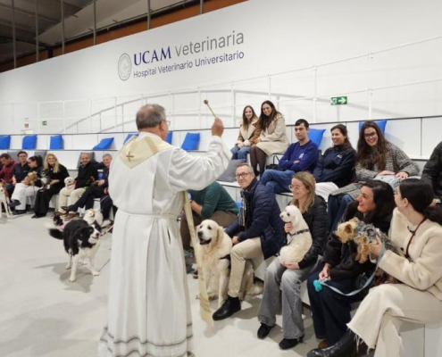 Bendición de los animales