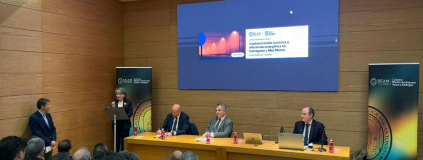 Conferencias, Presidente de Medio Ambiente, Grupo Hozono