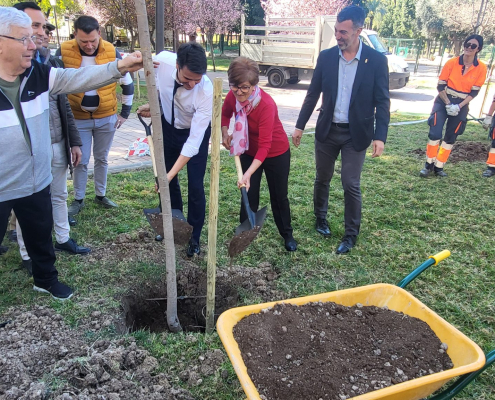 Vía Pública Molina Plantación arbolado en Parque de la Compañía Foto1