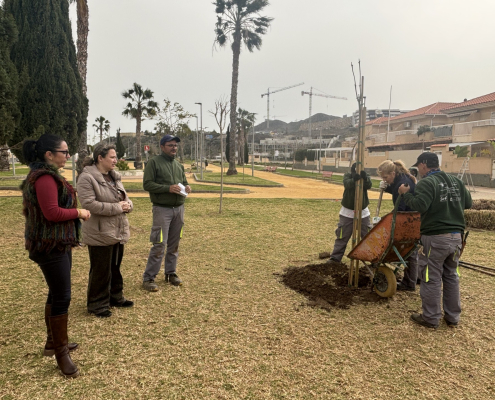 Continúan trabajos de plantación de árboles en diferentes zonas de la ciudad