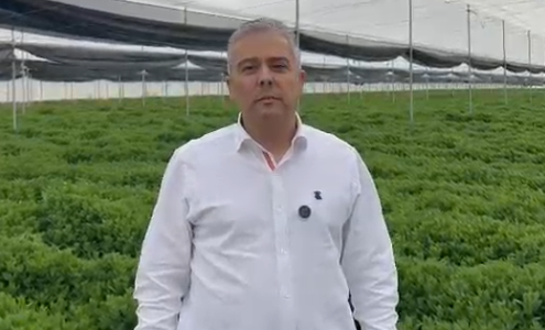 Agricultura, Cano, Movento, campo, Unión Europea