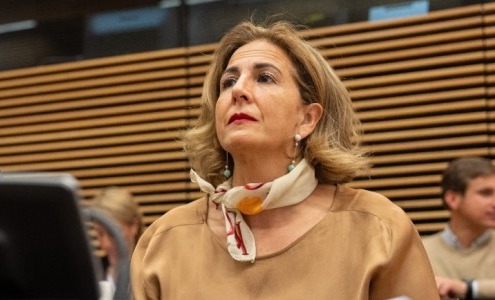 policía nacional, Brigada de extranjería, policías, Interior, Congreso, preguntas , Borrego