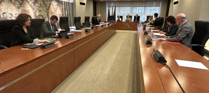 Reunión del Consejo de Portavoces