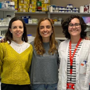 Las mutaciones de novo explican los casos graves de deficiencia de antitrombina sin antecedentes familiares