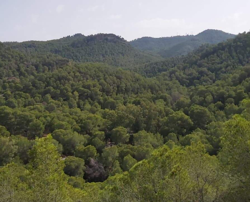Vista del PR El Valle y Carrascoy