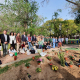 Jardín de la diversidad 1