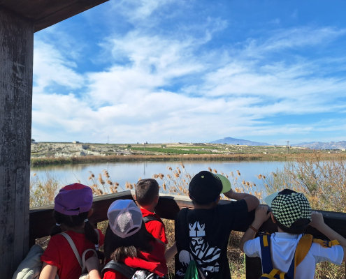 M. Ambiente Programa 'Molina, Descubre tu Entorno' Actividades 3er trimestre Foto1LasLagunas