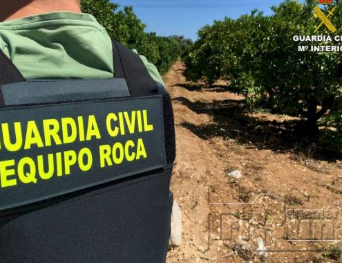 ASAJA Murcia considera el refuerzo delictivo de la reincidencia múltiple en el hurto agrario como un avance clave contra la inseguridad en el campo.