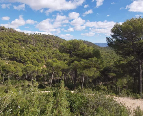 Denuncian posible dilación para desproteger Sierra Espuña