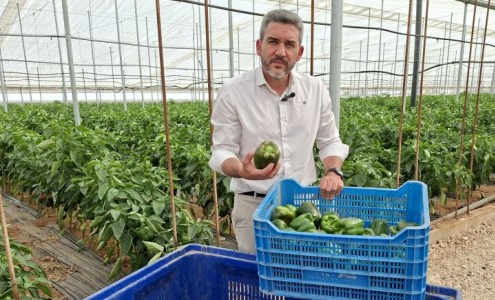 agricultura,  sector primario, Iran, COAG, ganaderos, agricultores, sobrecoste