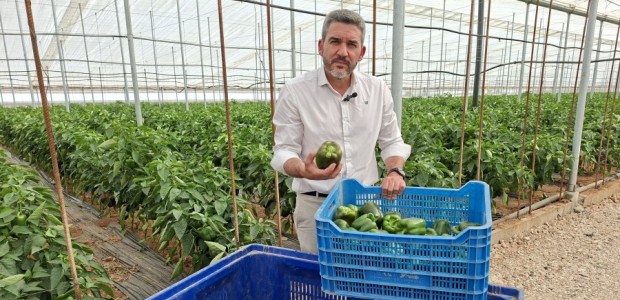 agricultura,  sector primario, Iran, COAG, ganaderos, agricultores, sobrecoste
