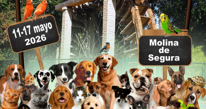 Salud Molina Semana 'Nuestros amigos los animales' 2026 CARTEL