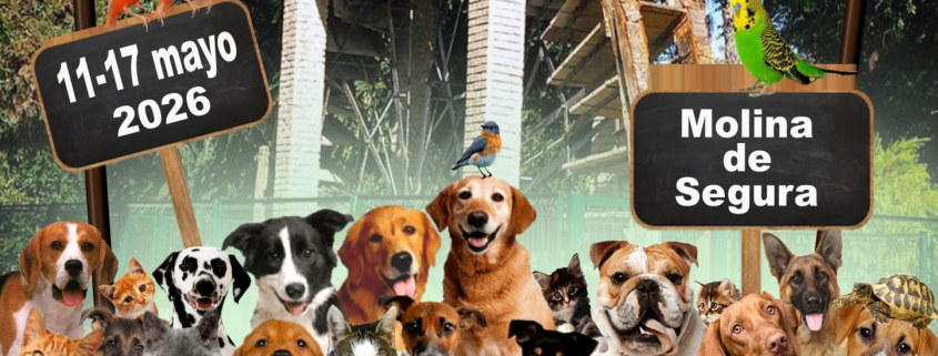 Salud Molina Semana 'Nuestros amigos los animales' 2026 CARTEL