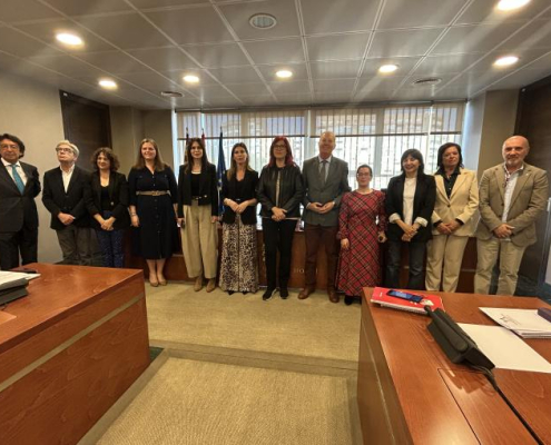 La presidenta del Colegio Oficial de Enfermeras de la Región de Murcia, Amelia Corominas García, con los miembros de la Comisión de Salud y Política Social